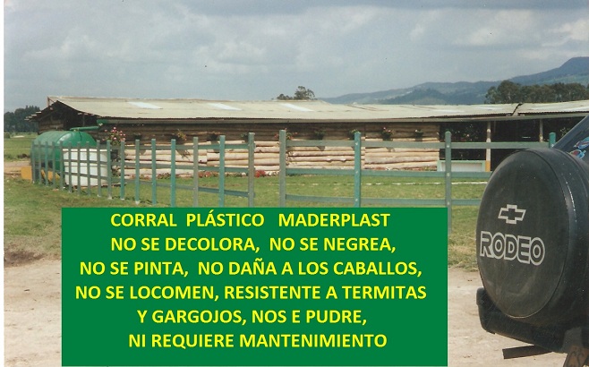 corral establo pesebrera para caballos corral caballo pesebrera caballo establo caballo picadero corral caballerías caballo paso fino pista resonancia equitación salto trocha percheron 007 corral establo pesebrera para caballos corral caballo pesebrera caballo establo caballo picadero corral corral establo pesebrera para caballos corral caballo pesebrera caballo establo caballo picadero corral caballerías caballo paso fino pista resonancia equitación salto trocha percheron 007 caballerías caballo paso fino pista resonancia equitación salto trocha percheron 007